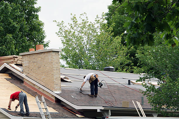Best Roof Gutter Cleaning  in Siloam Springs, AR