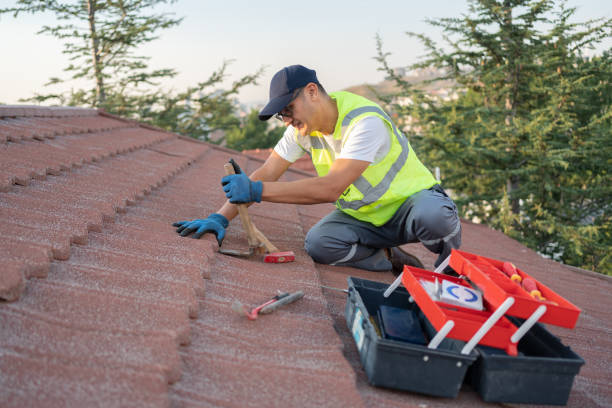 Best Metal Roofing Contractor  in Siloam Springs, AR
